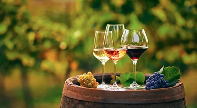 From Vine to Glass: Exploring the Art of Winemaking